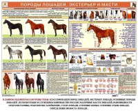 Комплект плакатов "Служебное коневодство" - fgospostavki.ru - Вологда
