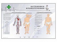 Электрифицированный стенд "Остановка кровотечения" - fgospostavki.ru - Вологда