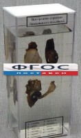 Влажный препарат "Внутреннее строение брюхоногого моллюска" - fgospostavki.ru - Вологда
