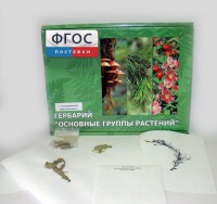 Гербарий "Основные группы растений" (52 листа) - fgospostavki.ru - Вологда