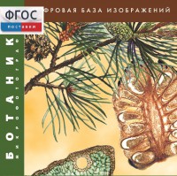 Ботаника. Микрофотографии. (Цифровая база изображений) - fgospostavki.ru - Вологда