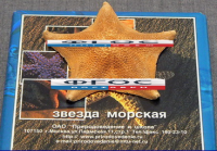 Сухой препарат "Звезда морская" - fgospostavki.ru - Вологда