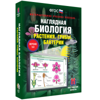 Наглядная биология. 6 класс. Растения. Грибы. Бактерии - fgospostavki.ru - Вологда