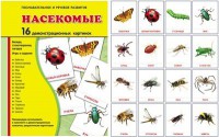 Демонстрационные карточки "Насекомые" - fgospostavki.ru - Вологда