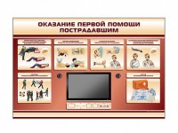 Многофункциональный интерактивный стенд-тренажер "Оказание первой помощи пострадавшим" для учащихся общеобразовательных учреждений - fgospostavki.ru - Вологда