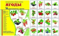 Демонстрационные карточки "Ягоды" - fgospostavki.ru - Вологда