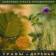 Растения средней полосы России "Травы и Деревья". (Цифровые атласы-определители) - fgospostavki.ru - Вологда