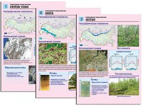 Комплект таблиц по географии "Природные зоны России" раздаточные (цветные, ламинированные, А4, 10 штук) - fgospostavki.ru - Вологда