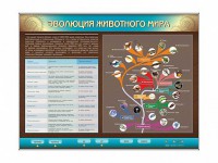 Интерактивный электрифицированный стенд "Эволюция животного мира" - fgospostavki.ru - Вологда