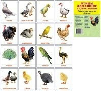 Раздаточные карточки "Птицы домашние и декоративные" - fgospostavki.ru - Вологда