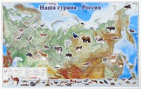 Магнитные карточки "Животные" - fgospostavki.ru - Вологда
