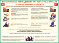 Таблица "Порядок действий при внезапной смерти" (100х140 сантиметров, винил) - fgospostavki.ru - Вологда