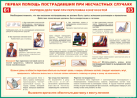 Таблица "Порядок действий при переломах конечностей" (100х140 сантиметров, винил) - fgospostavki.ru - Вологда