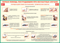 Таблица "Порядок действий при ранениях и термических ожогах" (100х140 сантиметров, винил) - fgospostavki.ru - Вологда