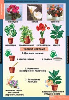 Комплект таблиц. Окружающий мир 1 класс. - fgospostavki.ru - Вологда
