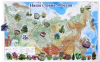 Магнитные карточки "Растения" - fgospostavki.ru - Вологда