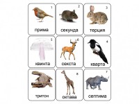 Набор магнитных карточек по музыке "Животные" (9 штук) - fgospostavki.ru - Вологда