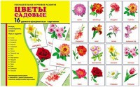 Демонстрационные карточки "Цветы садовые" - fgospostavki.ru - Вологда