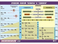 Таблица демонстрационная "Сравнение понятий изомер и гомолог" (винил 70x100) - fgospostavki.ru - Вологда