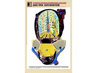Рельефная таблица "Долька печени. Макро-микростроение" (формат А1, матовое ламинирование) - fgospostavki.ru - Вологда