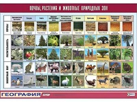 Таблица демонстрационная "Почвы, растения и животные природных зон" (винил 100*140) - fgospostavki.ru - Вологда