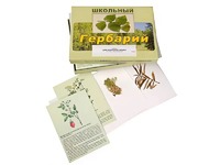 Гербарий "Для начальной школы" (30 видов, с иллюстрациями) - fgospostavki.ru - Вологда
