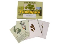 Гербарий "Деревья и кустарники" (22 вида, с иллюстрациями) - fgospostavki.ru - Вологда