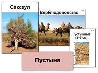 Модель-аппликация "Природные зоны России" (ламинированная) - fgospostavki.ru - Вологда