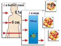 Модель-аппликация "Явление радиоактивности" (ламинированная) - fgospostavki.ru - Вологда