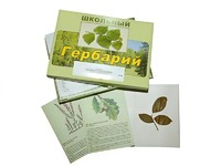 Гербарий "Дикорастущие растения" (30 видов, с иллюстрациями) - fgospostavki.ru - Вологда
