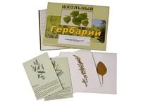 Гербарий "Лекарственные растения" (22 вида с иллюстрациями) - fgospostavki.ru - Вологда