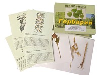 Гербарий "Систематика растений. Семейство Бобовые. Злаки" (раздаточный) - fgospostavki.ru - Вологда