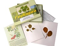 Гербарий "Систематика растений. Семейство Розоцветные" (раздаточный) - fgospostavki.ru - Вологда