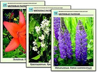 Гербарий фотографический "Основные группы растений" - fgospostavki.ru - Вологда