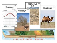 Модель-аппликация "Природные зоны" - fgospostavki.ru - Вологда