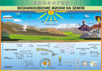 Таблица "Возникновение жизни на земле" (100х140 сантиметров, винил) - fgospostavki.ru - Вологда