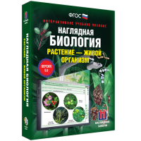 Наглядная биология. Растение - живой организм - fgospostavki.ru - Вологда