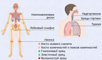 Интерактивные курсы. Биология 9 класс. Базовый. - fgospostavki.ru - Вологда