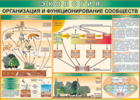 Таблица "Организация и функционирование сообществ" (100х140 сантиметров, винил) - fgospostavki.ru - Вологда