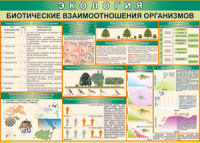Таблица "Биотические взаимоотношения организмов" (100х140 сантиметров, винил) - fgospostavki.ru - Вологда