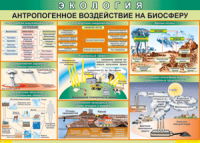 Таблица "Антропогенное воздействие на биосферу" (100х140 сантиметров, винил) - fgospostavki.ru - Вологда