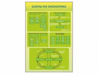 Стенды "Схемы по экономике" - fgospostavki.ru - Вологда
