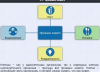 Интерактивные курсы. Биология 5 класс. Базовый - fgospostavki.ru - Вологда