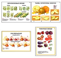 Плакаты ПРОФТЕХ "Ассортимент овощных культур" (12 пл, винил, 70х100) - fgospostavki.ru - Вологда