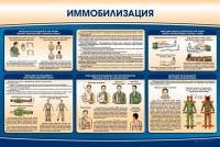 Стенд "Иммобилизация" - fgospostavki.ru - Вологда