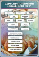 Стенд "Схема приготовления дрожжевого теста" - fgospostavki.ru - Вологда