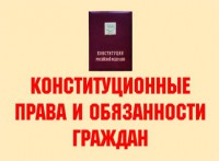 Комплект плакатов "Конституционные права и обязанности граждан" - fgospostavki.ru - Вологда