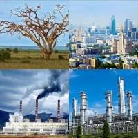 Модель-аппликация Биосфера и человек - fgospostavki.ru - Вологда