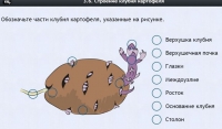 Интерактивные курсы. Биология 6 класс. Расширенный - fgospostavki.ru - Вологда