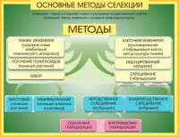 Стенд "Методы селекции и биотехнологии" - fgospostavki.ru - Вологда
